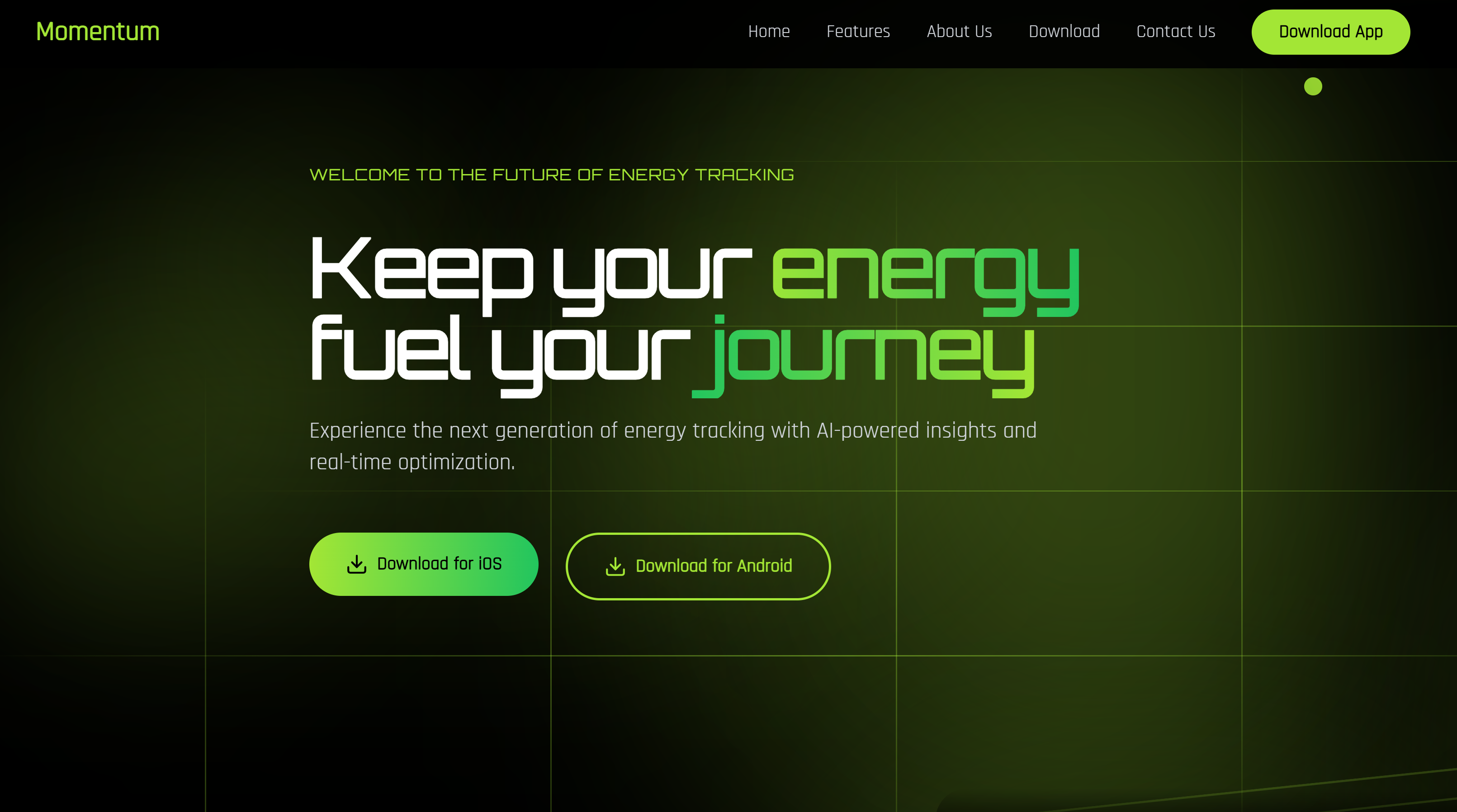 Project Preview